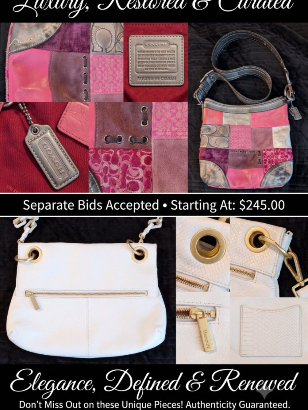 LUXURY BUNDLE: Hammitt VIP Leather Crossbody + Vintage Coach Y2K Patchwork Bag